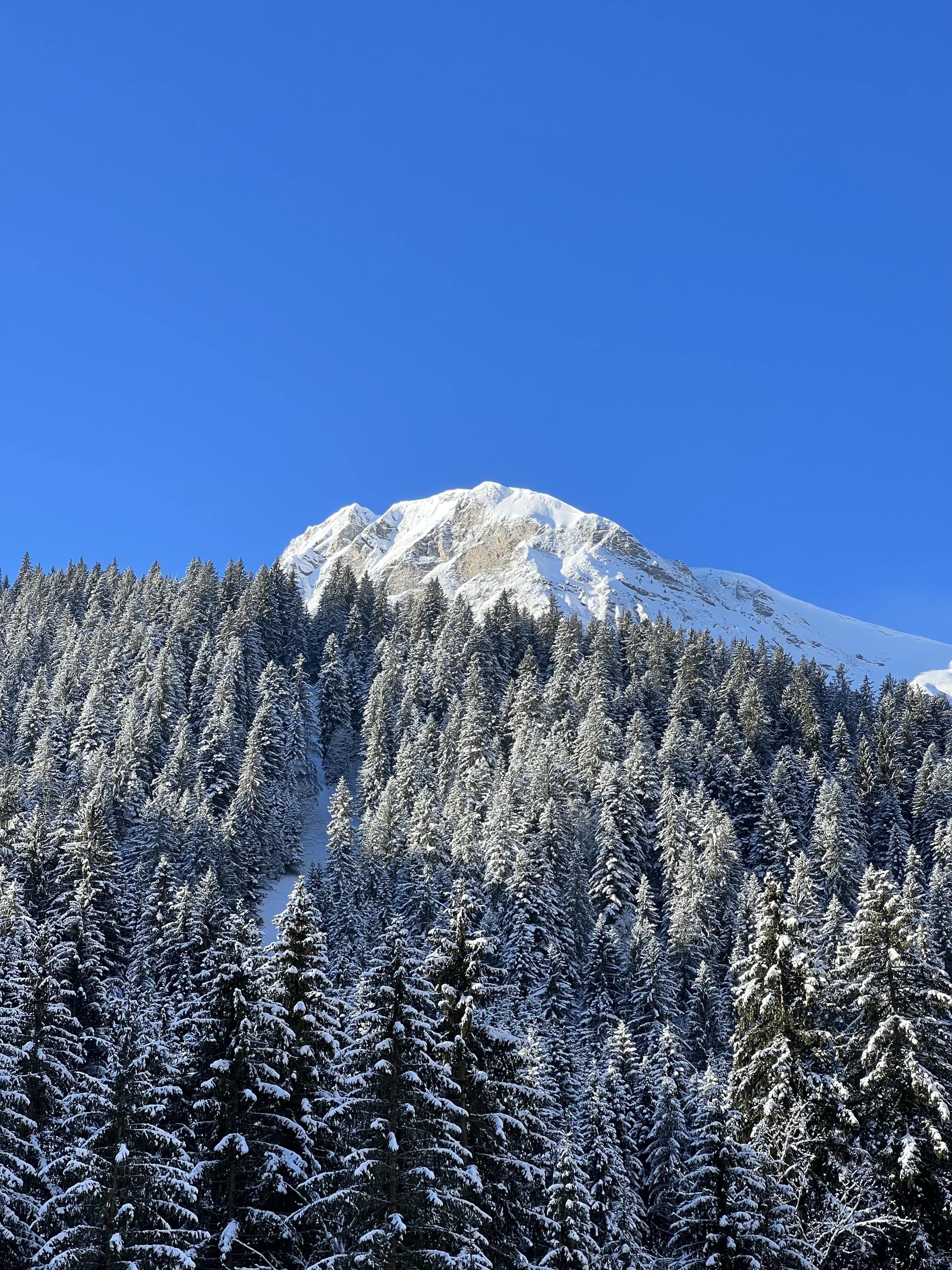 French Alps
