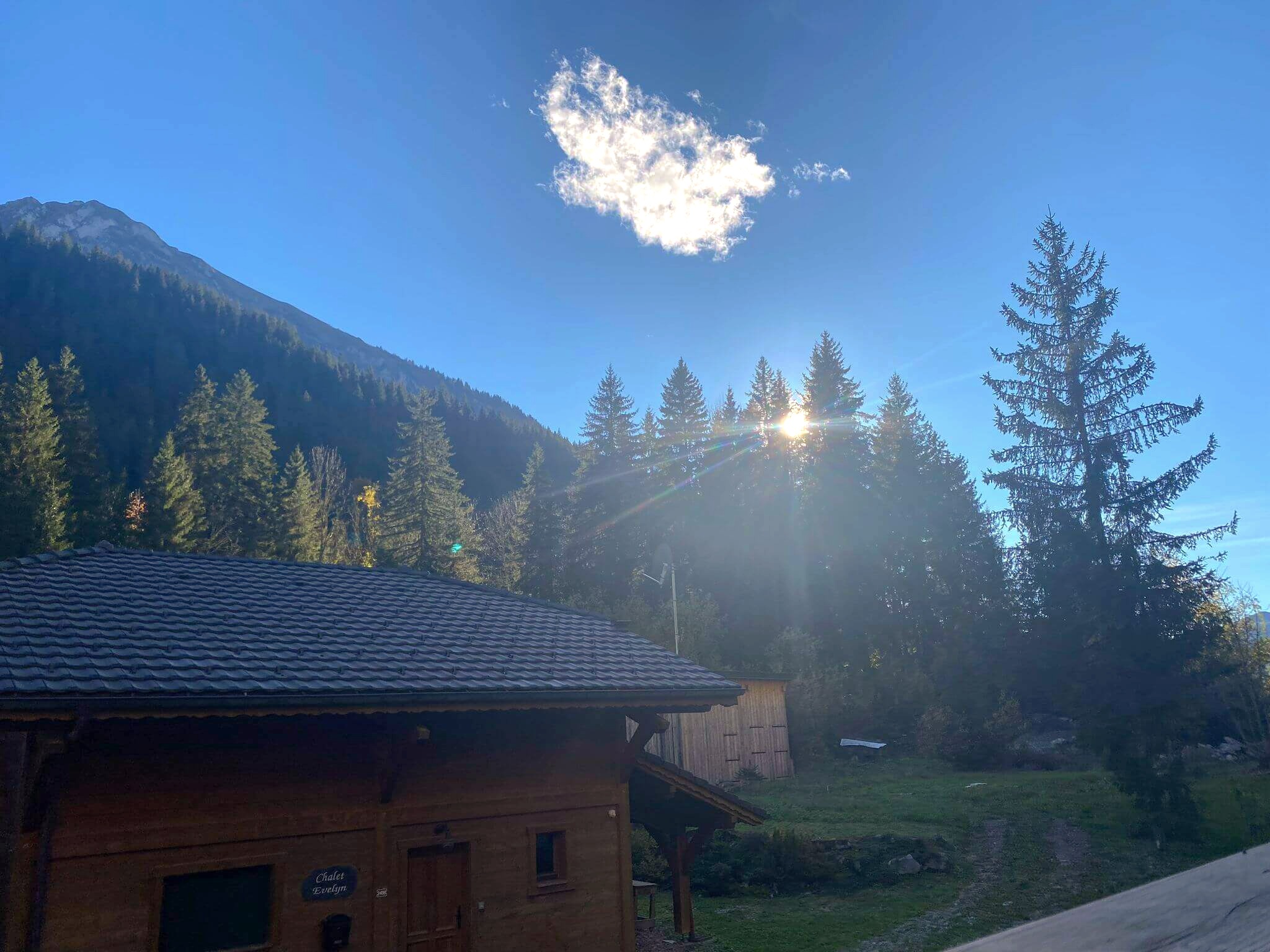 Alpine Creek view