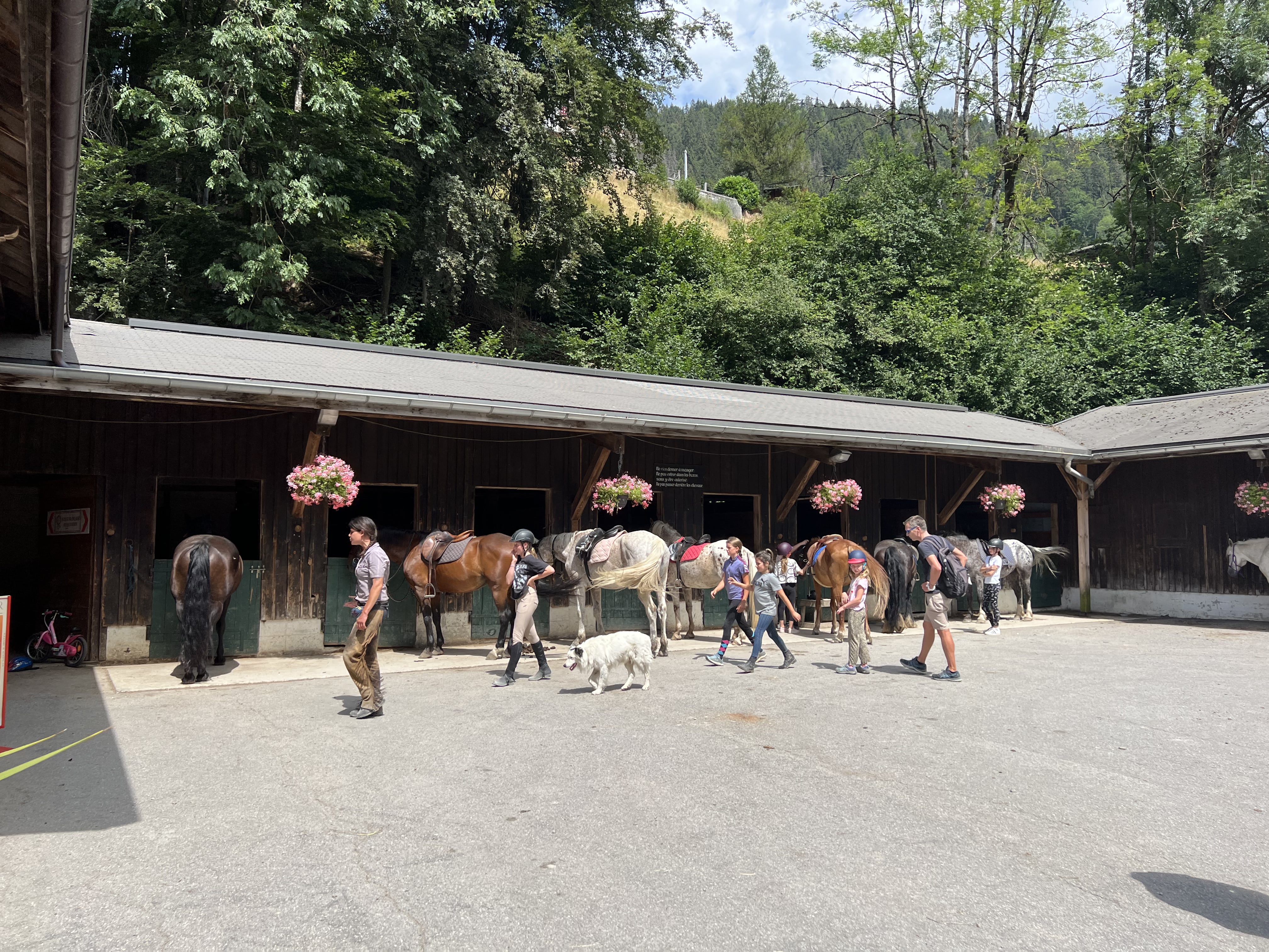 Horse riding